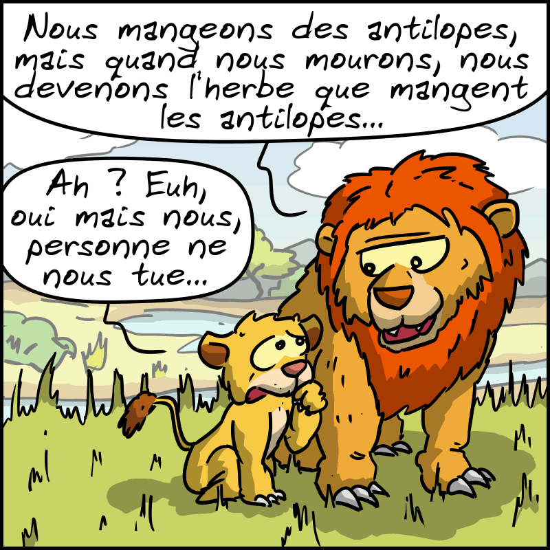 Image extraite du post Instagram